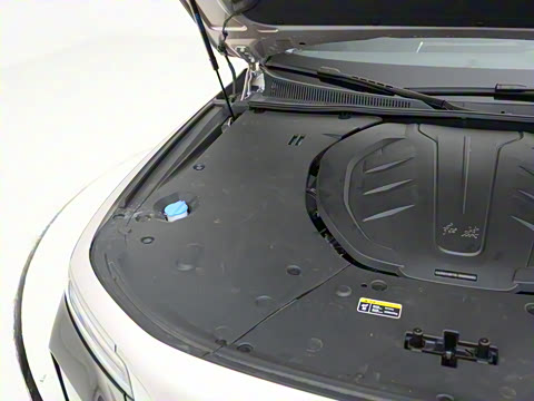 2024�� 3.0T �������� ˽�����а�