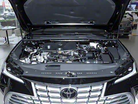 2024�� ˫�� 2.0L ������