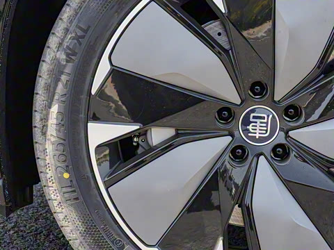 2025�� EV 600KM���������״��콢��