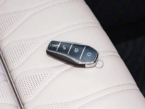 2025�� �Ǽݰ� DM-i 115KM �콢��