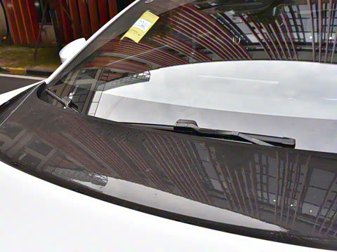 2024�� Max�����