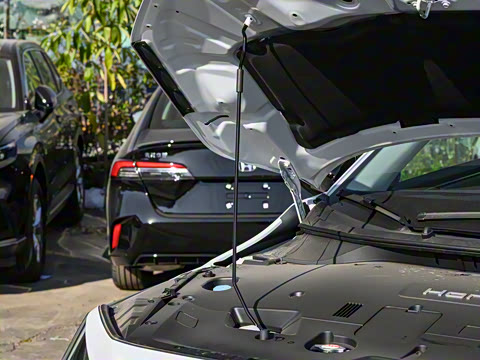 2024�� ����