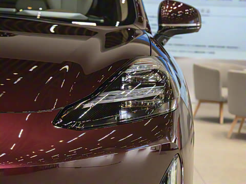 2025�� 825 Max��