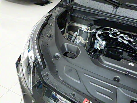 2024�� 410KM ������ ����