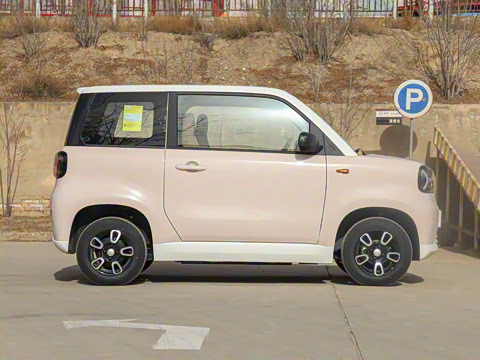 2025�� Pro 282km ���ư�