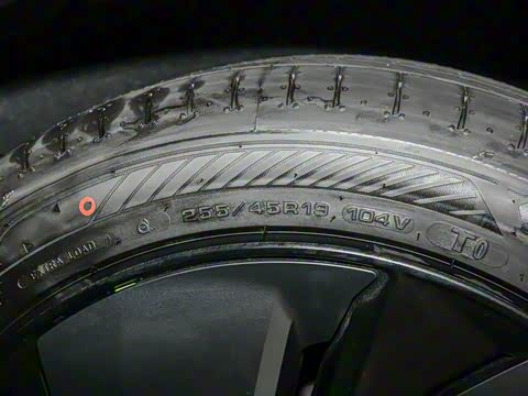 2025�� ����������