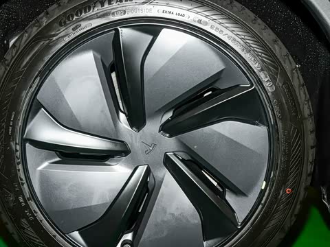 2025�� ����������