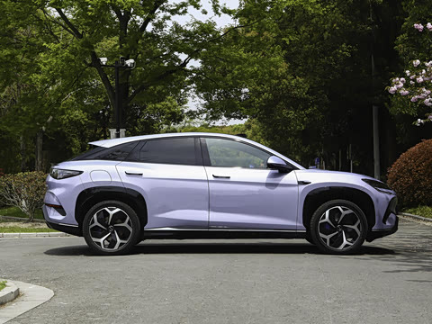 2025�� 550�����Ǽݰ�