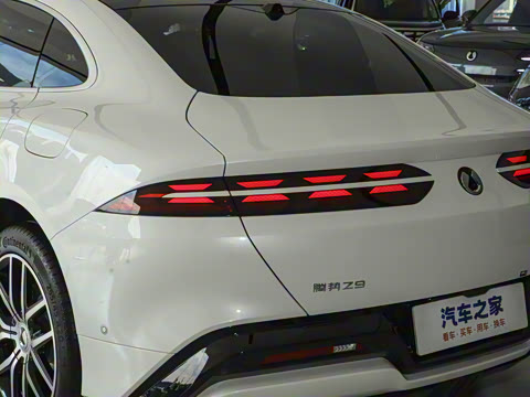 2024�� 1100km ����Pro��