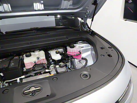 2024�� ���� 520������