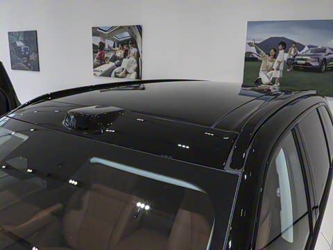 2025�� ���� Max