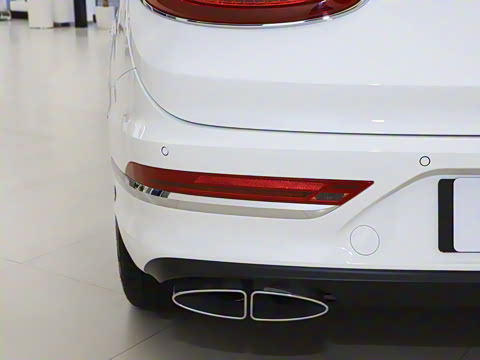 2024�� 4.0T V8 ������