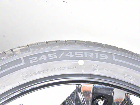 2025�� ���羭���