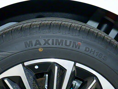 2025�� 145km ������