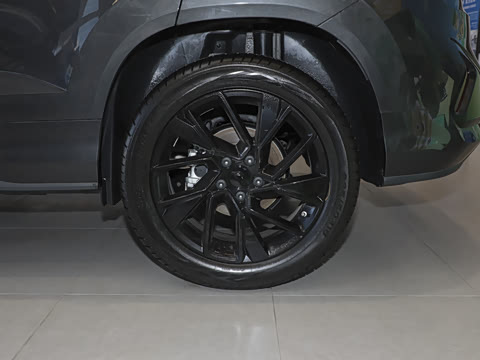 2024�� 280TSI �Զ��콢�߹��