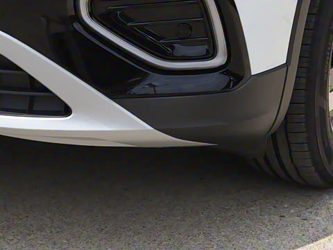 2025�� �Ŀ� ������ 300TSI