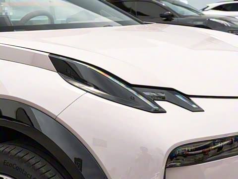 2025�� ��������ħ����