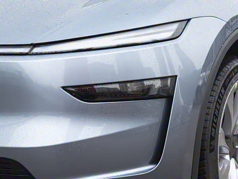 2025�� ����������