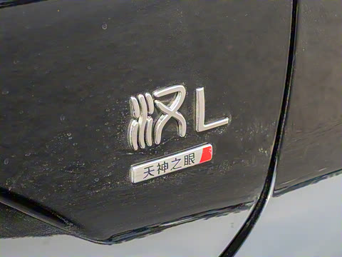 2025�� DM-i 200KM�����״��콢��