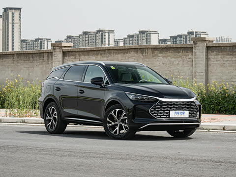 2025�� DM-i 175KM �캽��