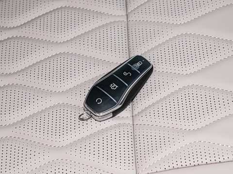 2025�� DM-i 175KM �캽��