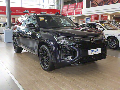 2025�� ;�� Pro 450TSI �����Ƿ��