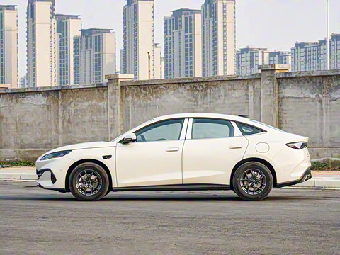 2025�� DM-i �Ǽݰ� 80KM������