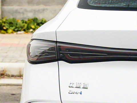 2025�� DM-i �Ǽݰ� 120KM������