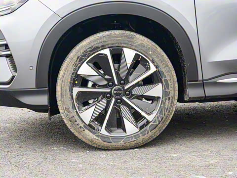 2025�� DM-i �Ǽݰ� 112KM �����