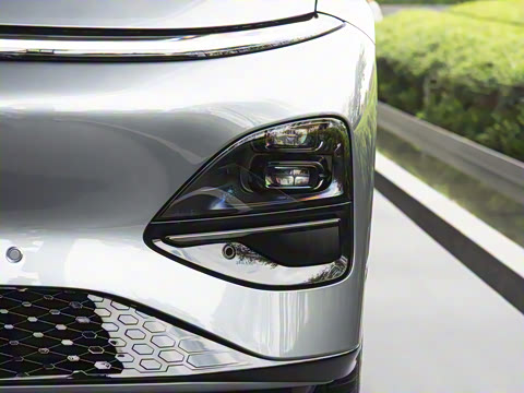 2025�� 725 �������� Max �콢��