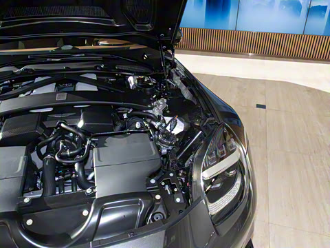 2025�� ������