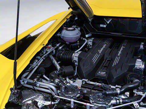 2025�� ������