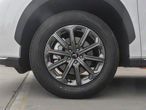 2024�� 1.6T ��ԭ�� 7��