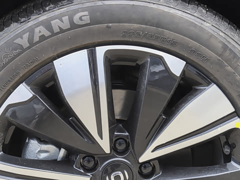 2025�� ��������� 525������