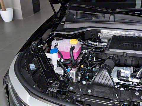 2025�� ��Խ��