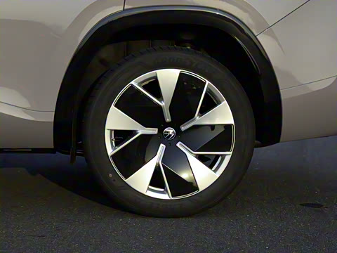 2025�� ;�� Pro 450TSI �����Ƿ��