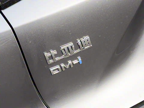 2025�� DM-i �Ǽݰ� 115KM������