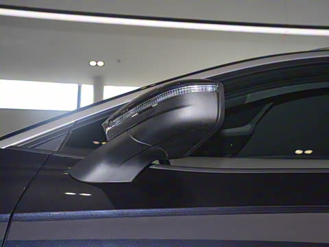 2025�� ������