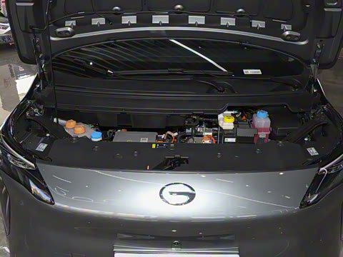 2024�� Younger ��ҫ��