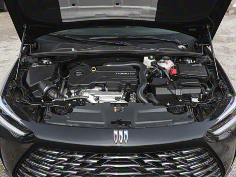 2024�� �Ŀ� 25T ������