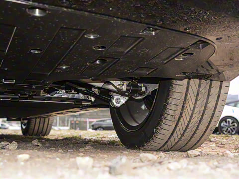 2025�� Max�����