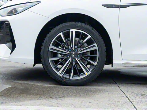 2025�� 1.6T DCT ��׼��