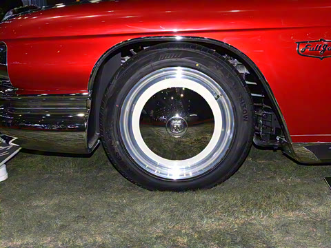 2025�� ������