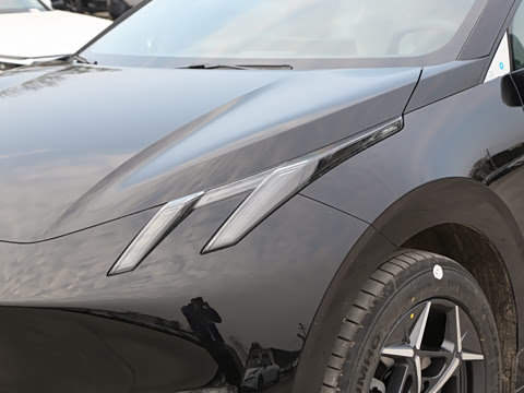 2025�� 530km ����Pro