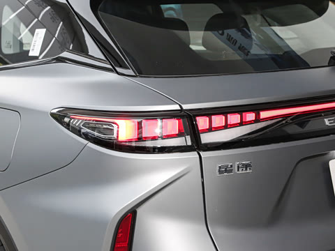 2025�� 100������Plus����