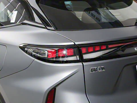 2025�� 100������Plus����