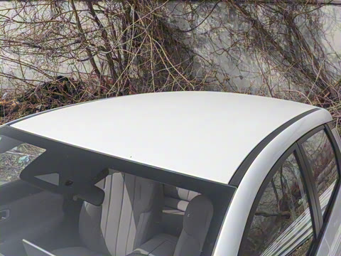 2025�� 420������