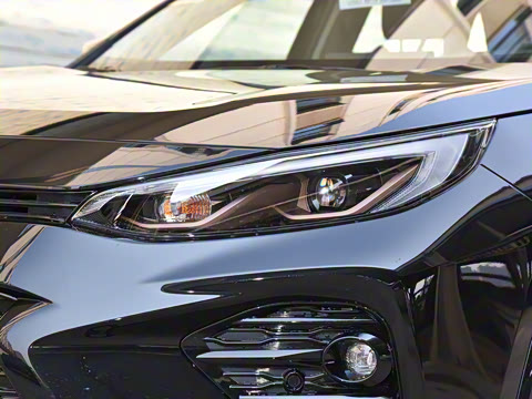 2024�� ˫�� 2.5L E-CVT��������PLUS��