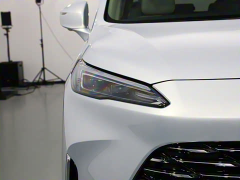 2025�� ½�� ������ 7��