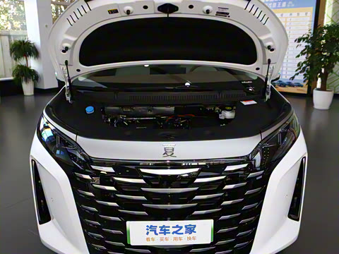 2025�� DM-i 1.5T 180km ��Խ��